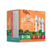 Gateway Tea® 6-Pack Variety Pack - Bright Touch